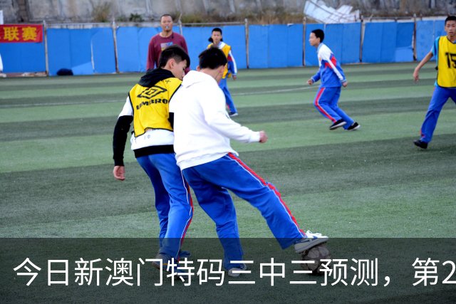 今日新澳门特码三中三预测，第232期平肖平特平码精准资料，新六合彩推荐号是多少