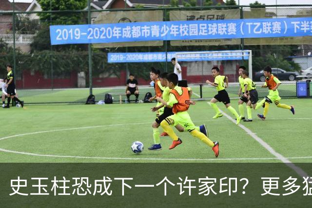 史玉柱恐成下一个许家印？更多猛料被扒，套现80亿仅是冰山一角？