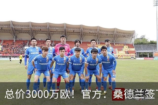总价3000万欧！官方：桑德兰签下法国后卫梅塔利，20岁身价1800万