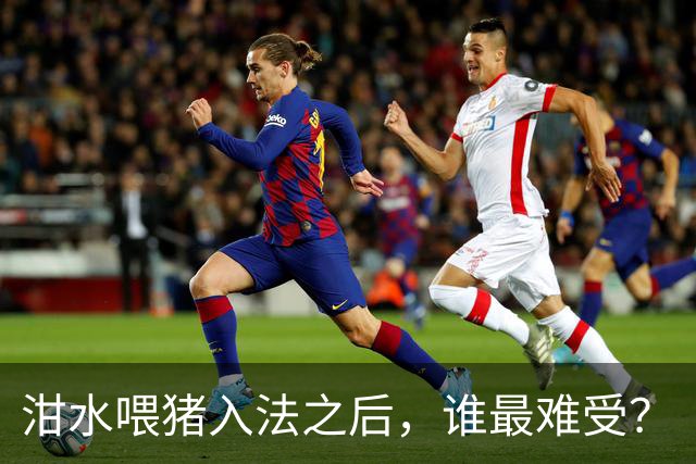泔水喂猪入法之后，谁最难受？